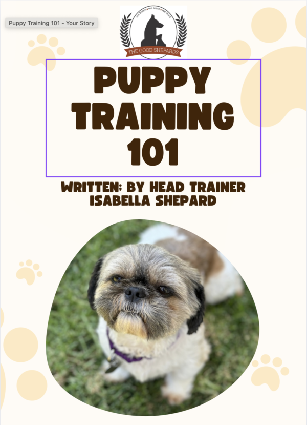Welcome to Puppyhood: Puppy Training 101